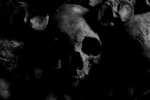 black and white skull image