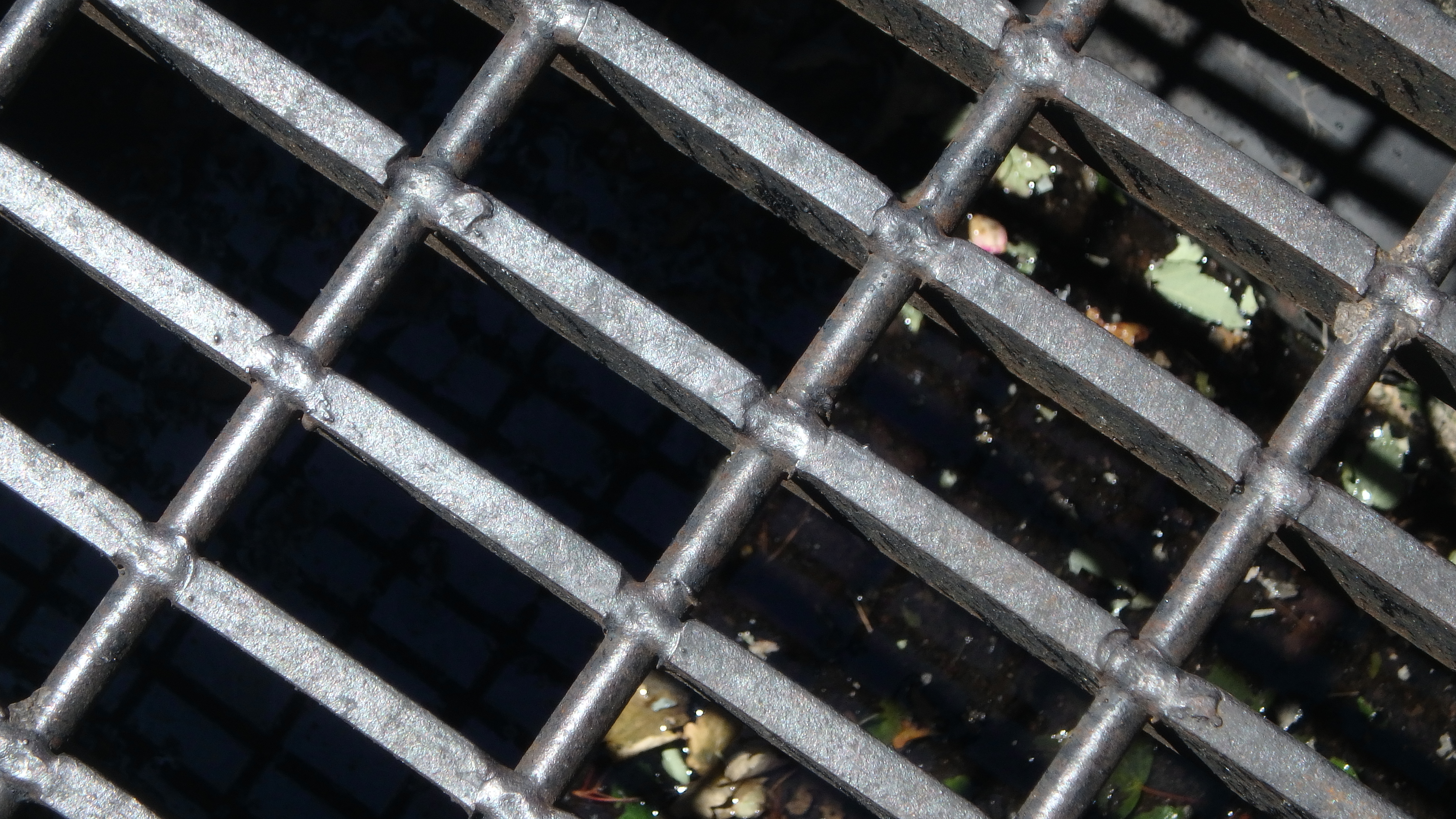 Storm Drain