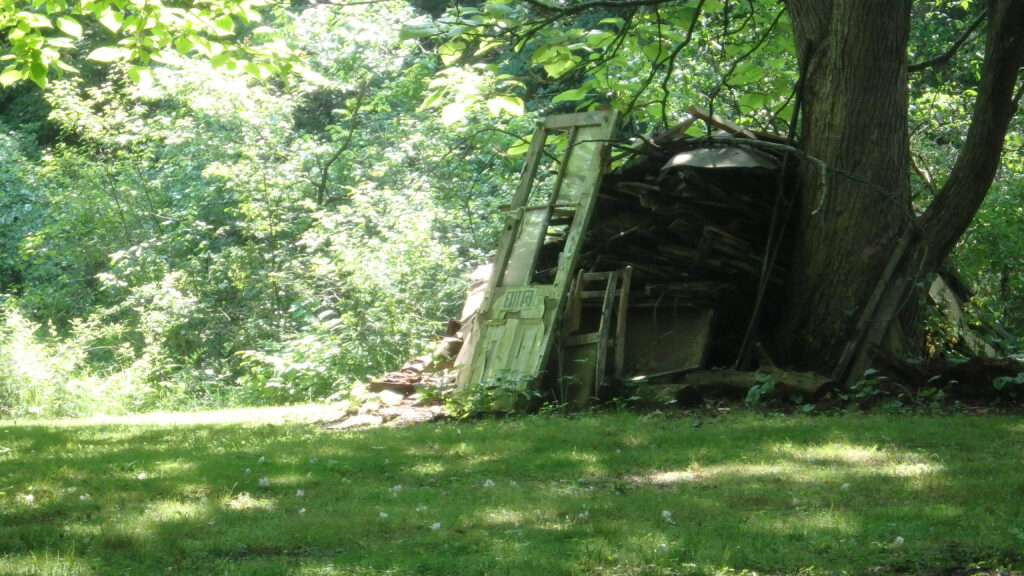 This is what's left of an old shed that had been on the property. It likely would have been removed a long time ago, except: 1) This site is just far enough off the beaten path to make hauling everything a chore, and 2) A red squirrel has made its home in there. My mom has named them "Rufus." She does not want Rufus' home to be removed.