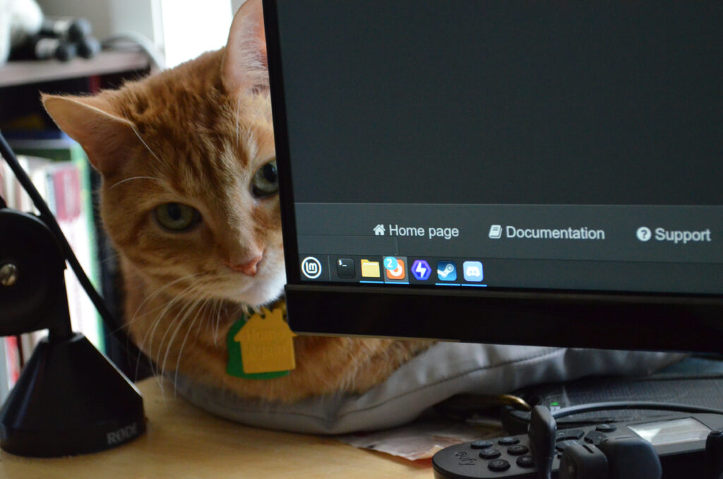 Alt Text: An orange cat sits on a pillow with paws tucked in so that they are not visible. He is looking through the space between a mic stand and a monitor. Out of focus books are visible in the background.